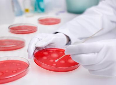 ��֦���ļ�ҽԺ��Һ�����