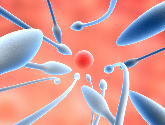 ���澫Һ�����ô��?����Щ