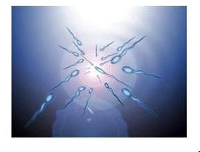 ����Һ���,�ҳ�����������