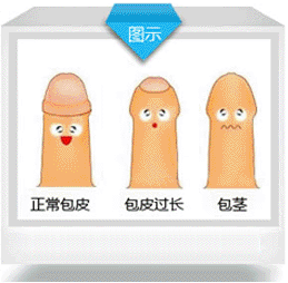 ����������ô��