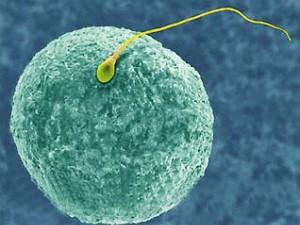 �����޾�֢��֢״������Щ